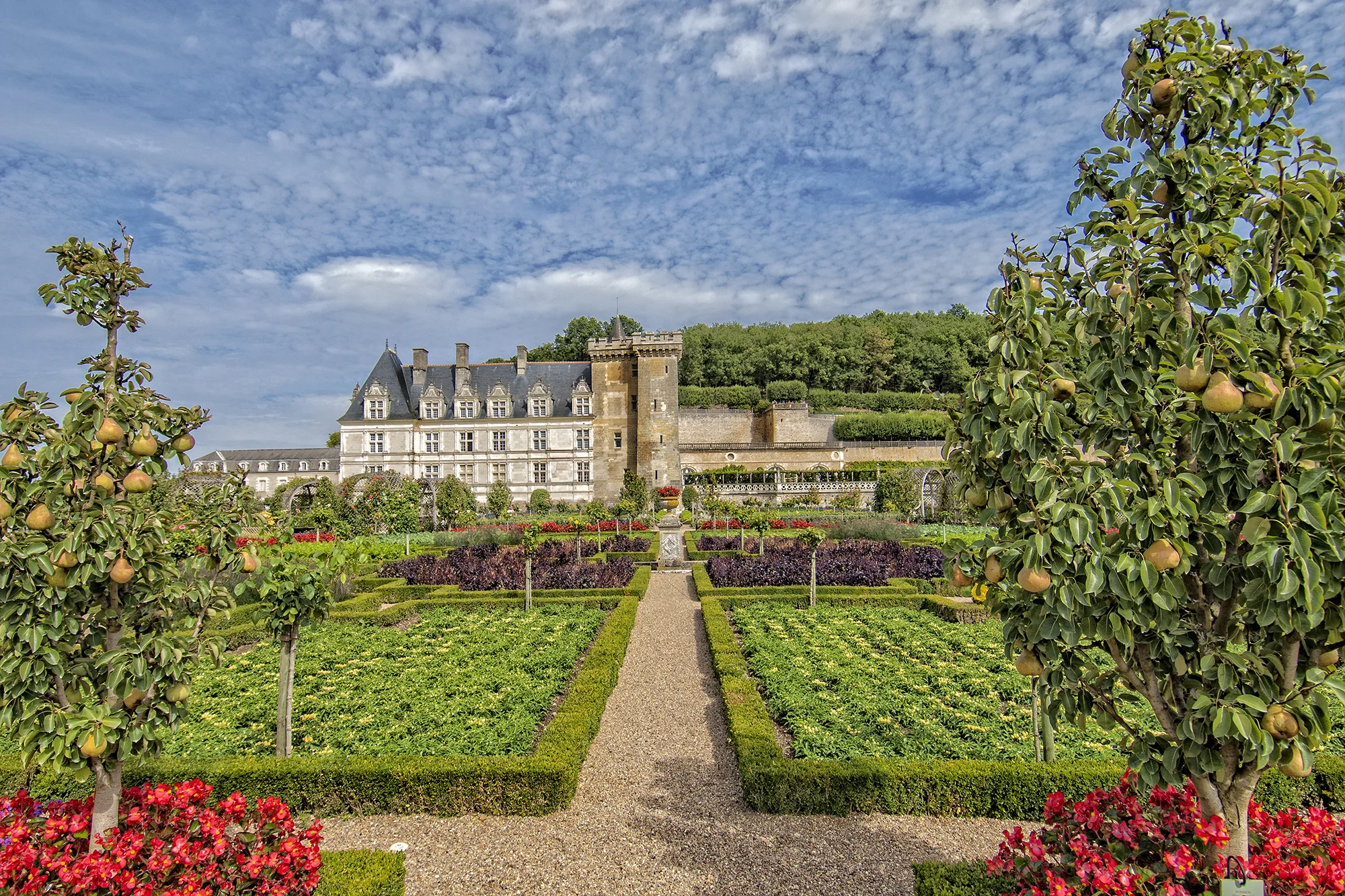 Château de Villandry 3