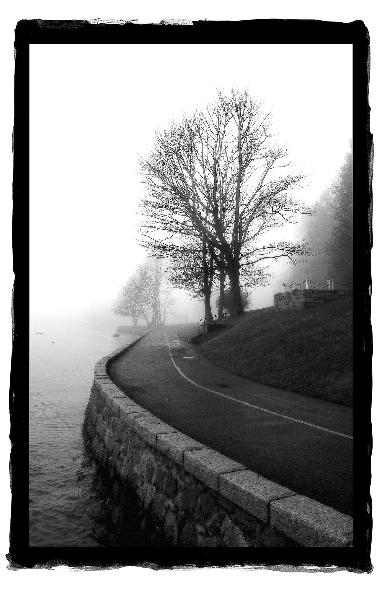 Trees 4s.jpg