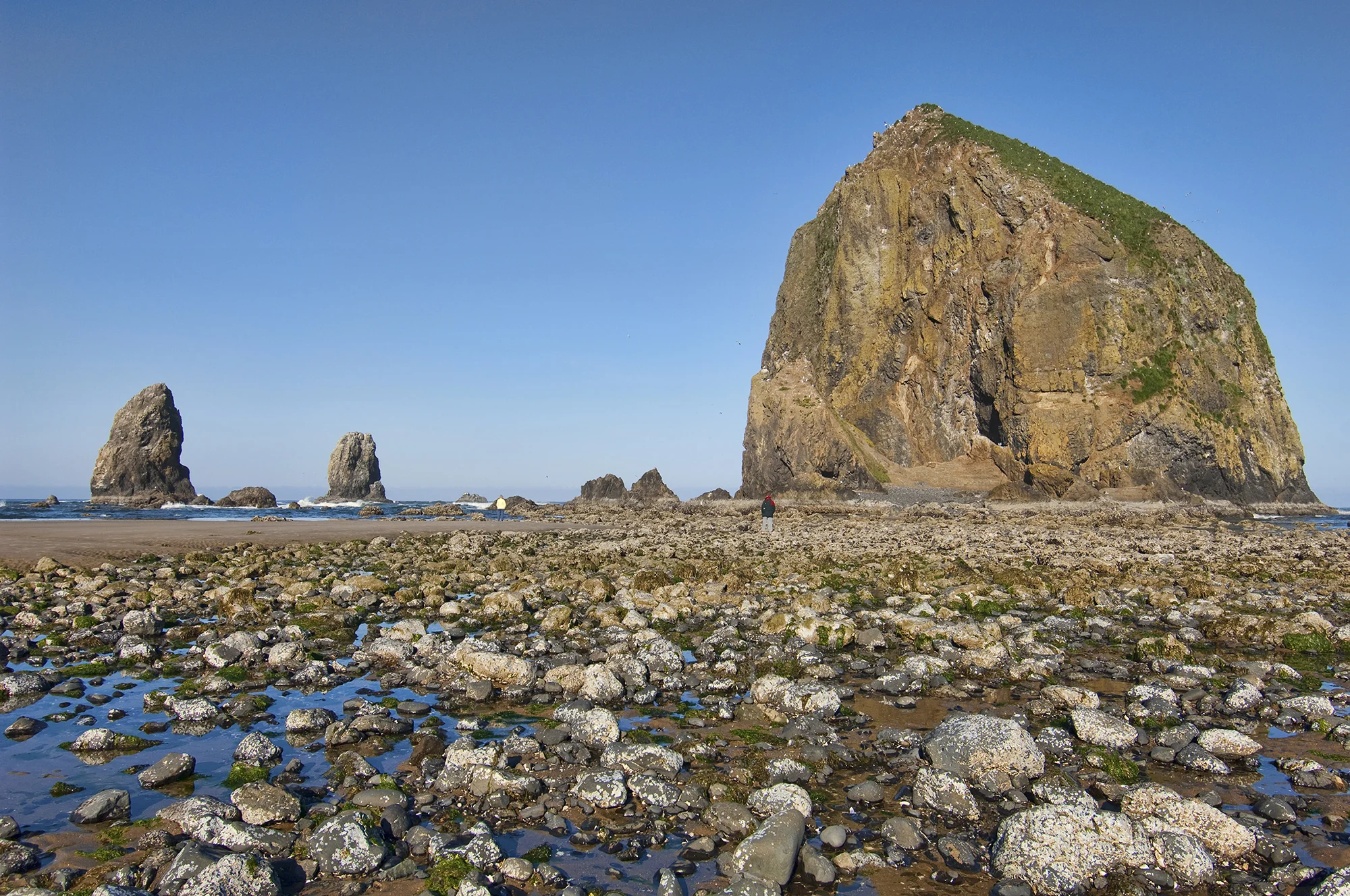 Haystack Rock 02