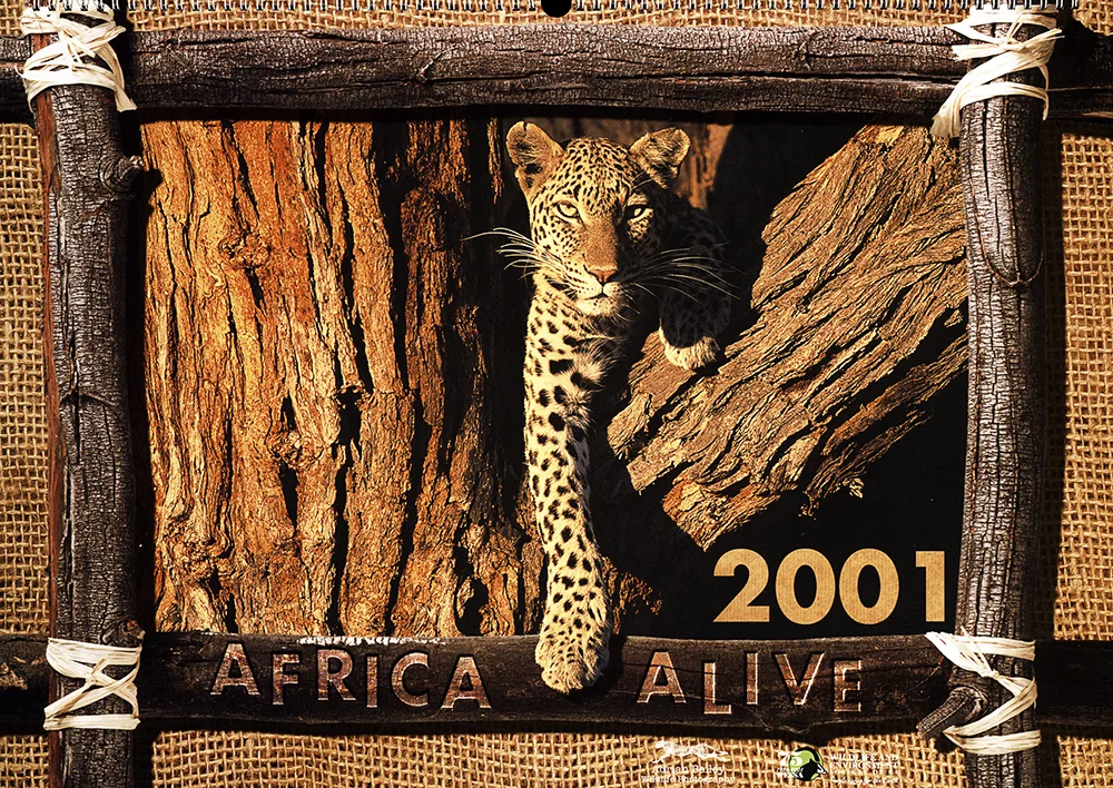 CAL-AFRICA 1.jpg