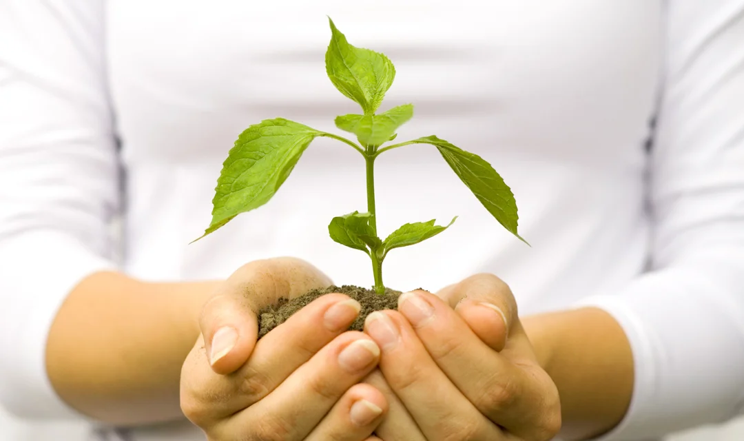 personal-growth.jpg