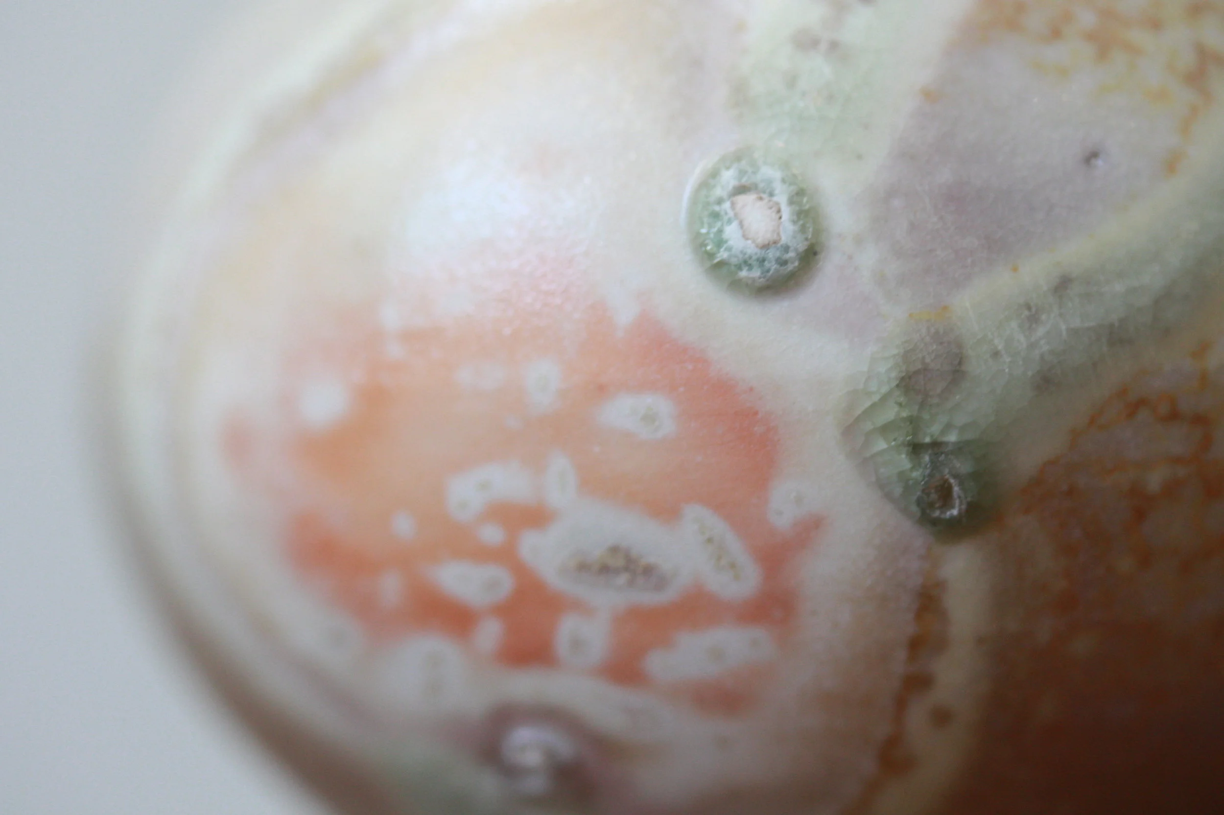 Woodfired porcelain vase - Emma Smith