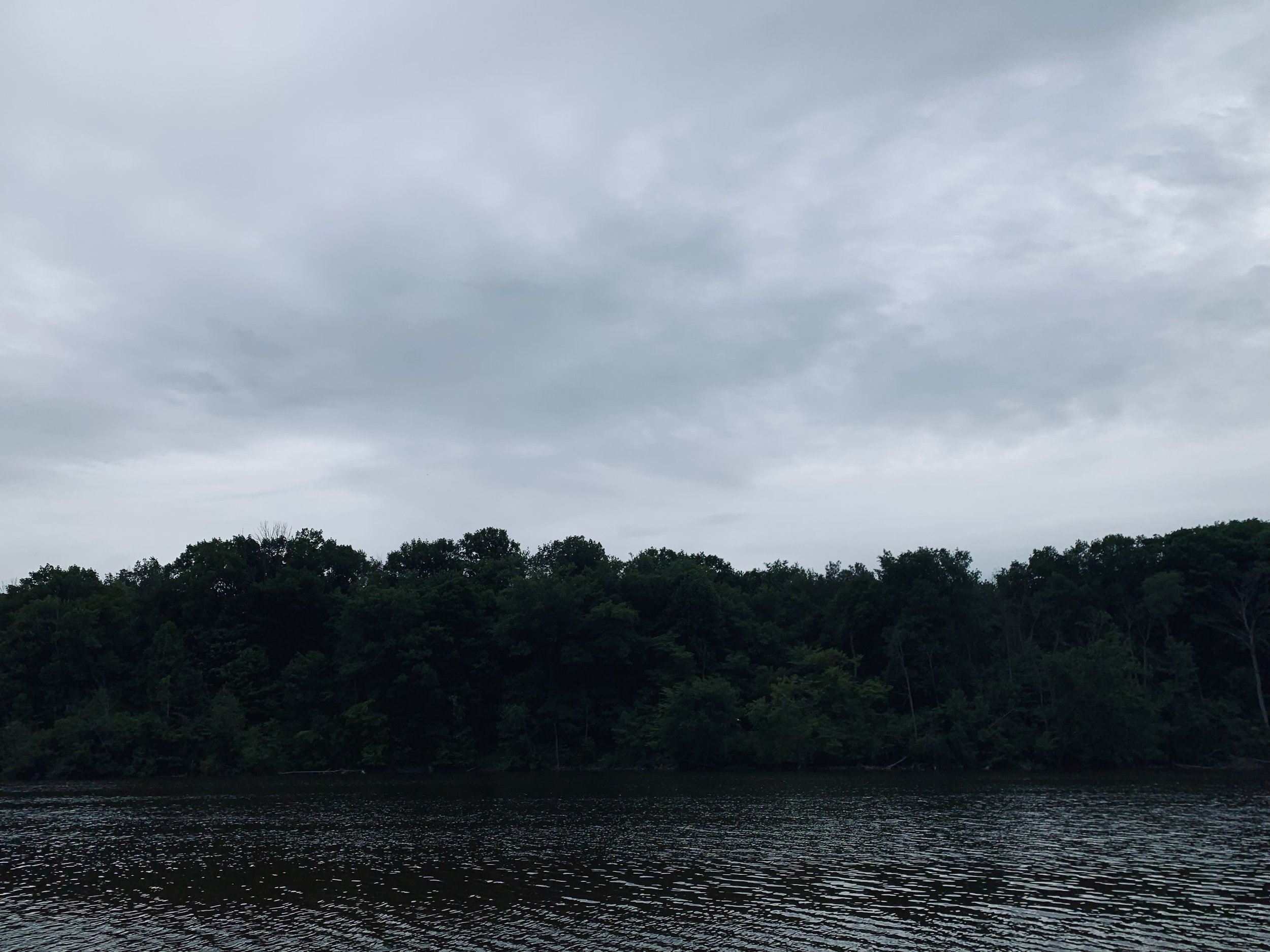 It was a cold day for a swim, but I swam anyway