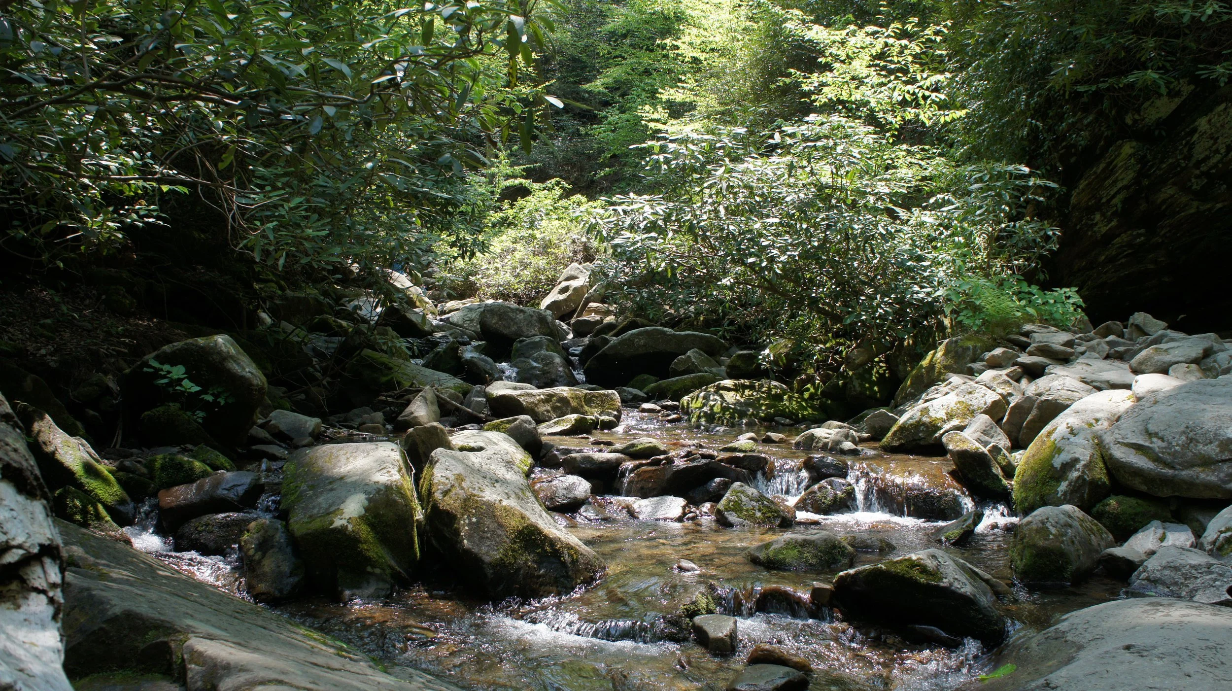A Love Letter to the Appalachians