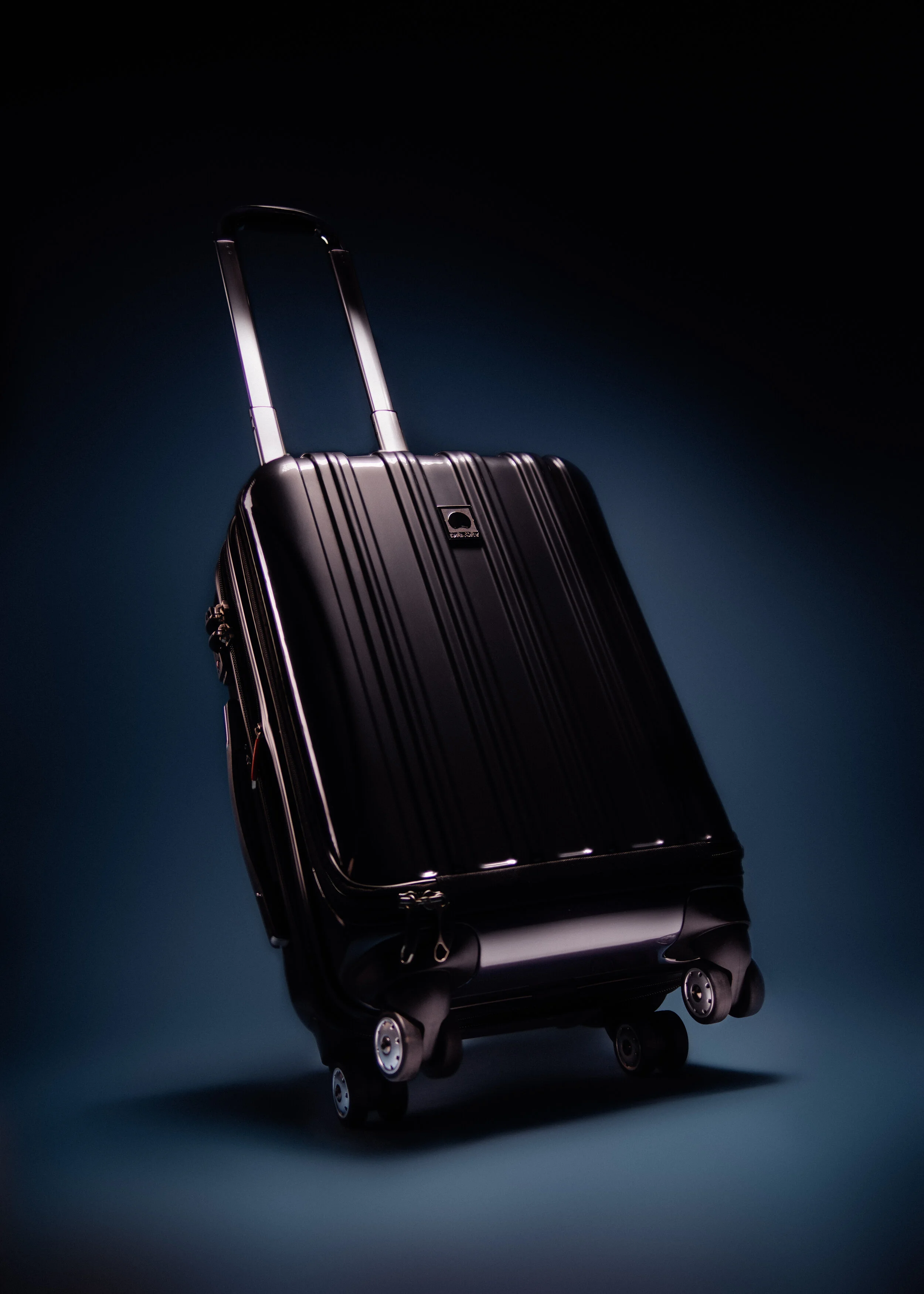 Delsey Luggage