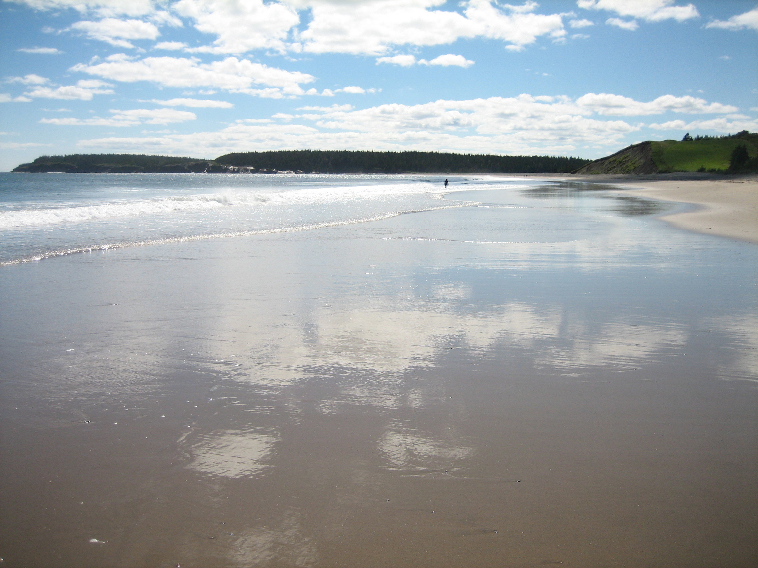 DUCKWORTH REAL ESTATE