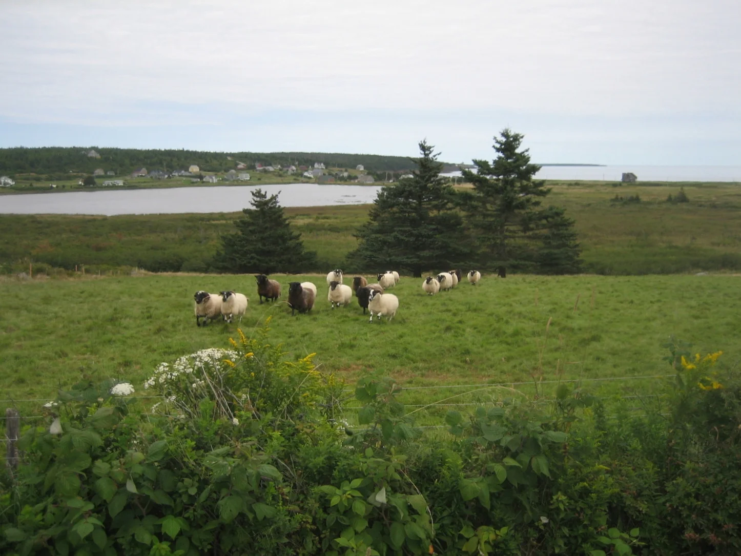 DUCKWORTH REAL ESTATE