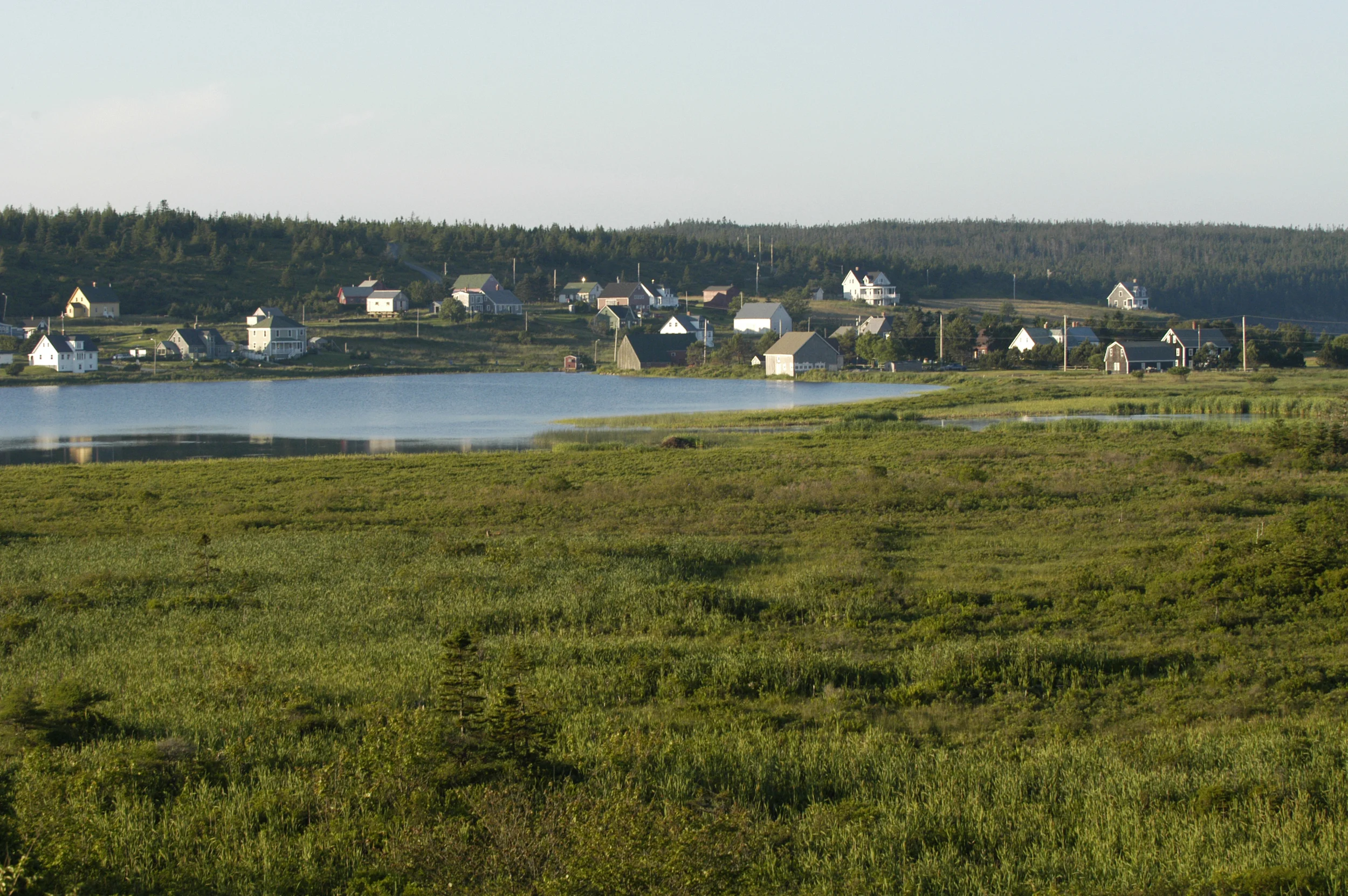 DUCKWORTH REAL ESTATE