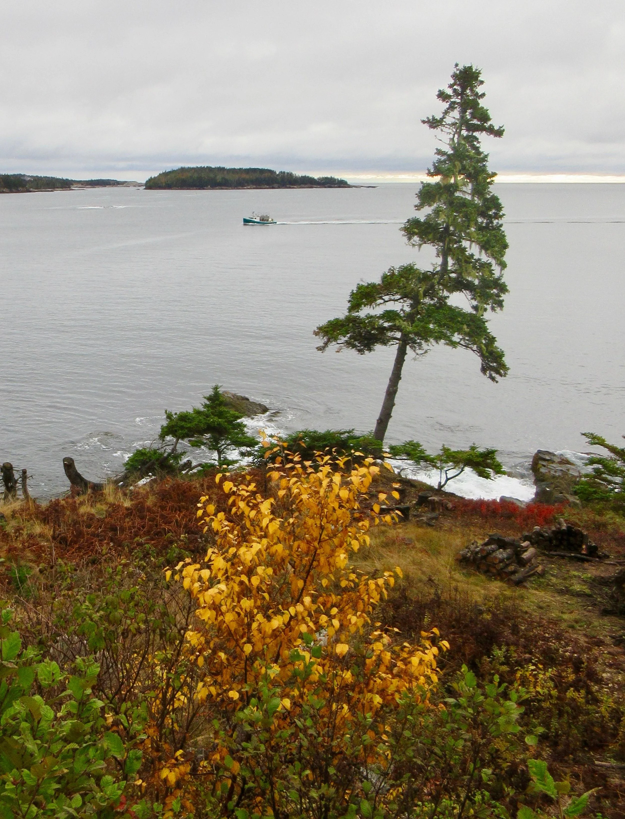 Recently Sold — DUCKWORTH REAL ESTATE