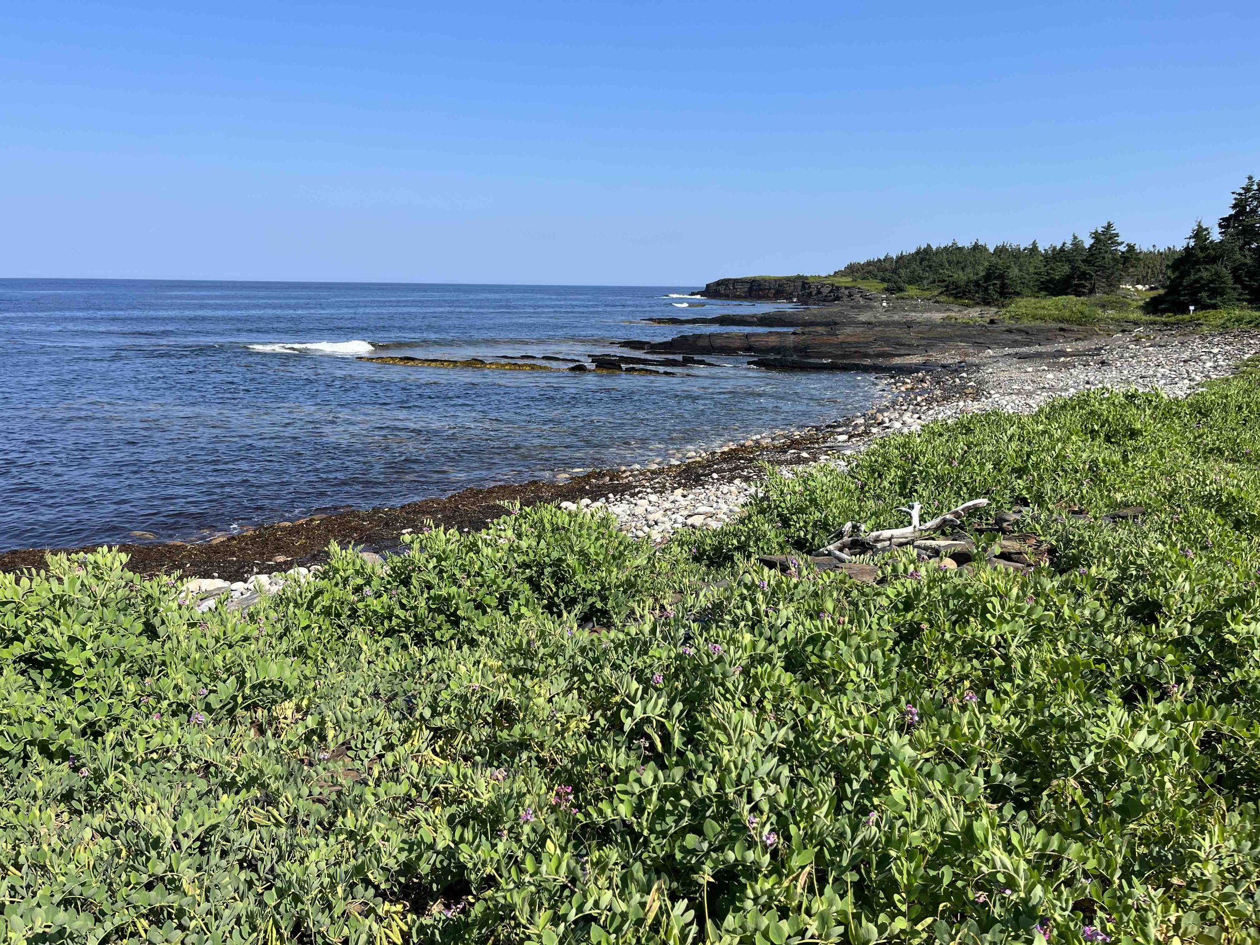 19.4 Acres With 1,500 Feet of Ocean Frontage in Kingsburg — DUCKWORTH