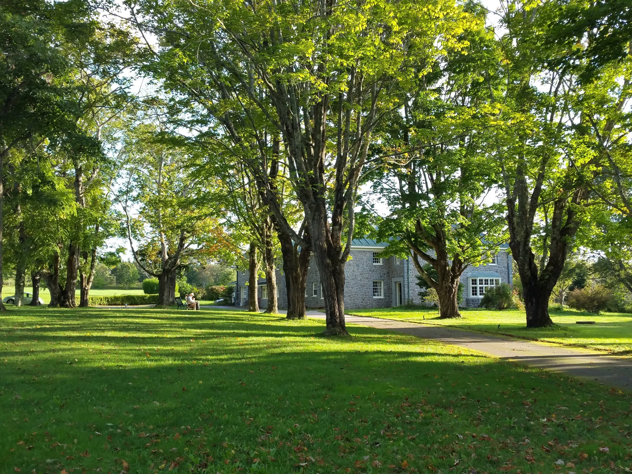 1 New lead Light across the lawn.jpg