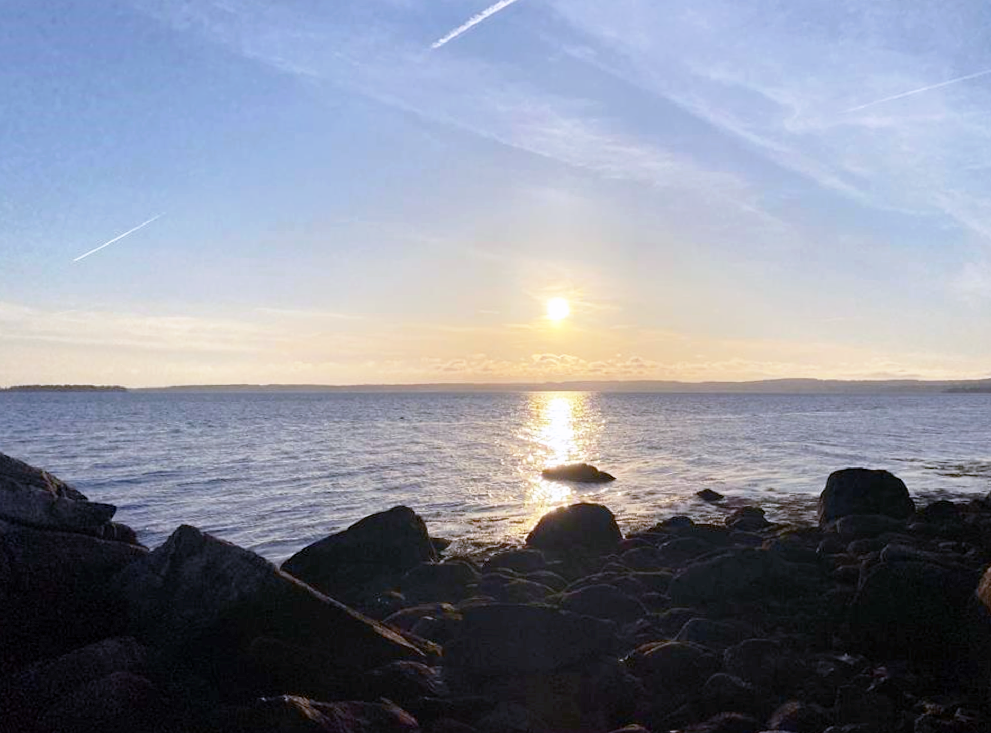 1. Lot 102 high 329.png