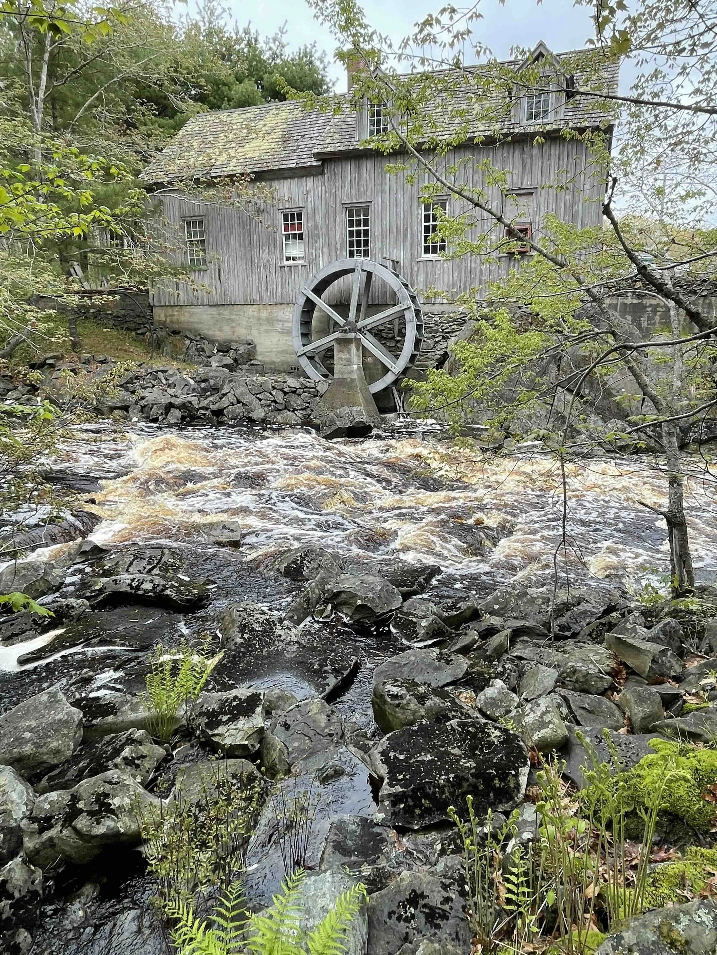 1 New Lead Sable River.jpg