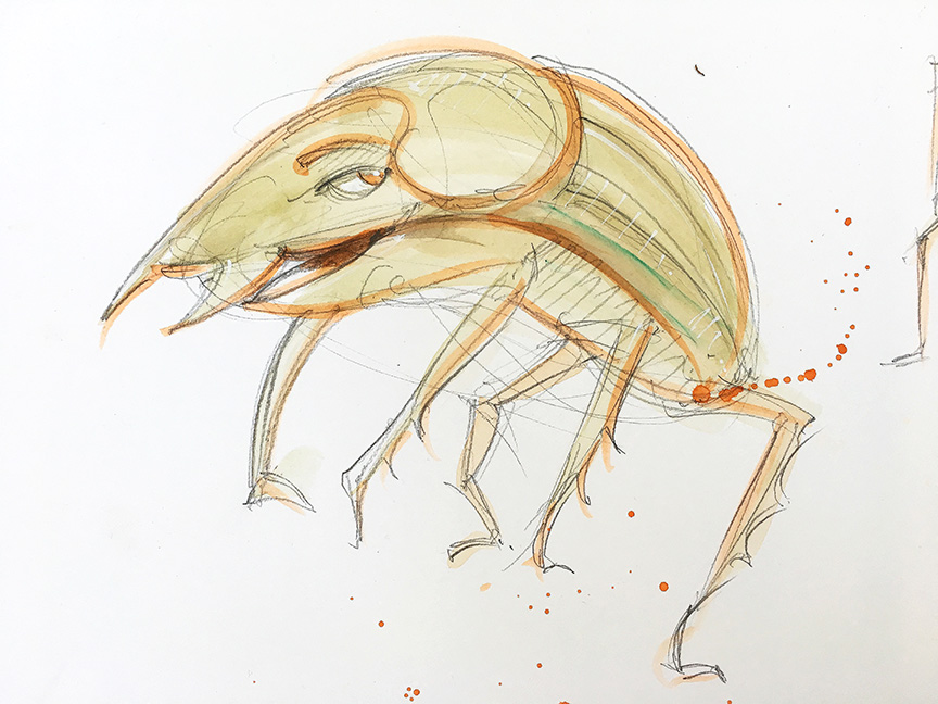 dungbeetle_dad.jpg