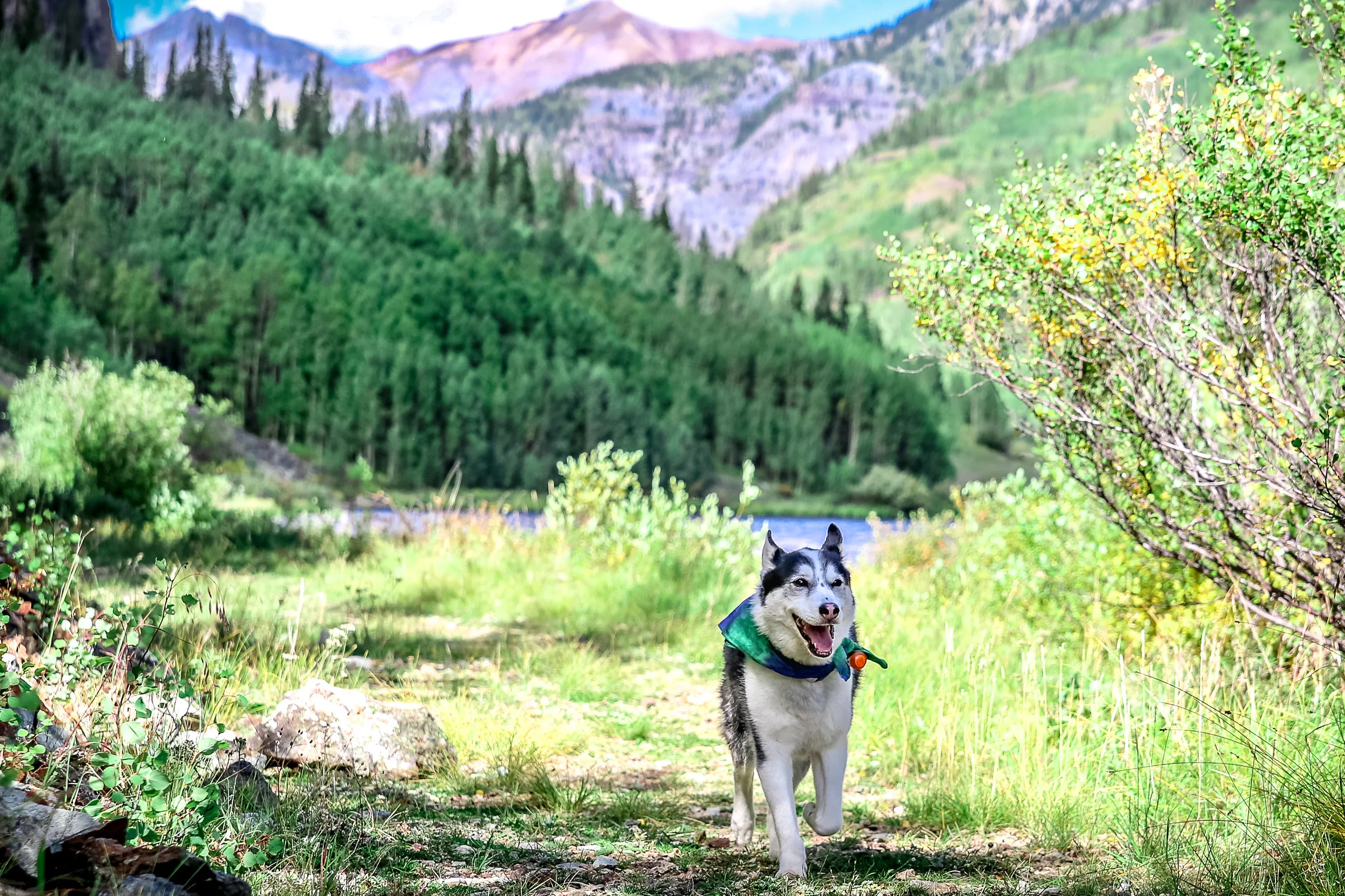 2016_09_western_roadtrip-304.jpg