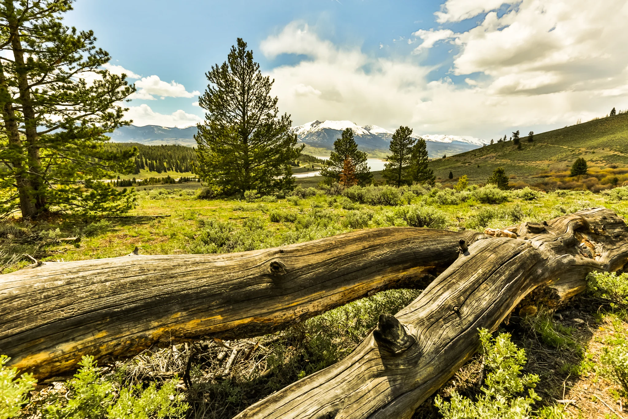 2017_colorado_kellyeah-photography-5.jpg