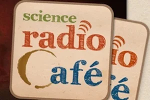 Interview With Steven Strogatz