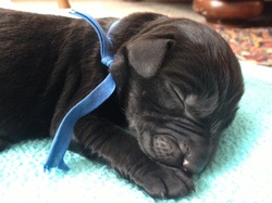 2 days old