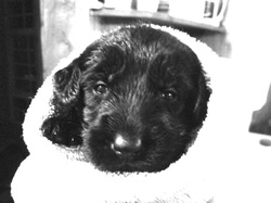 First bath