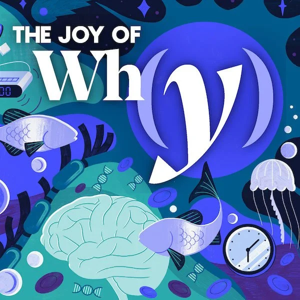 Why Do We Die Without Sleep?