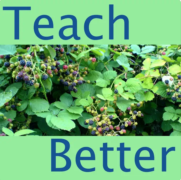 Teach Better Podcast Episode 45: Inspiring Students With Steven Strogatz