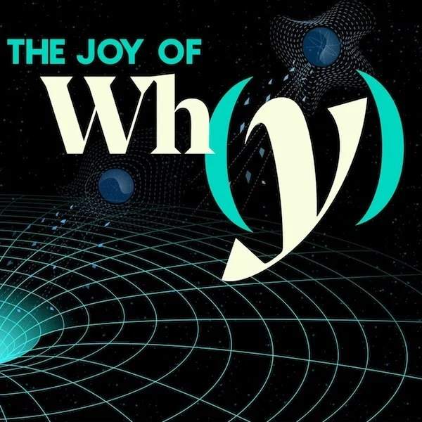 Can Information Escape a Black Hole?