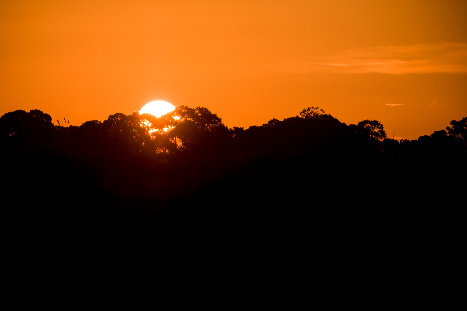 Sunrise over the dunes.