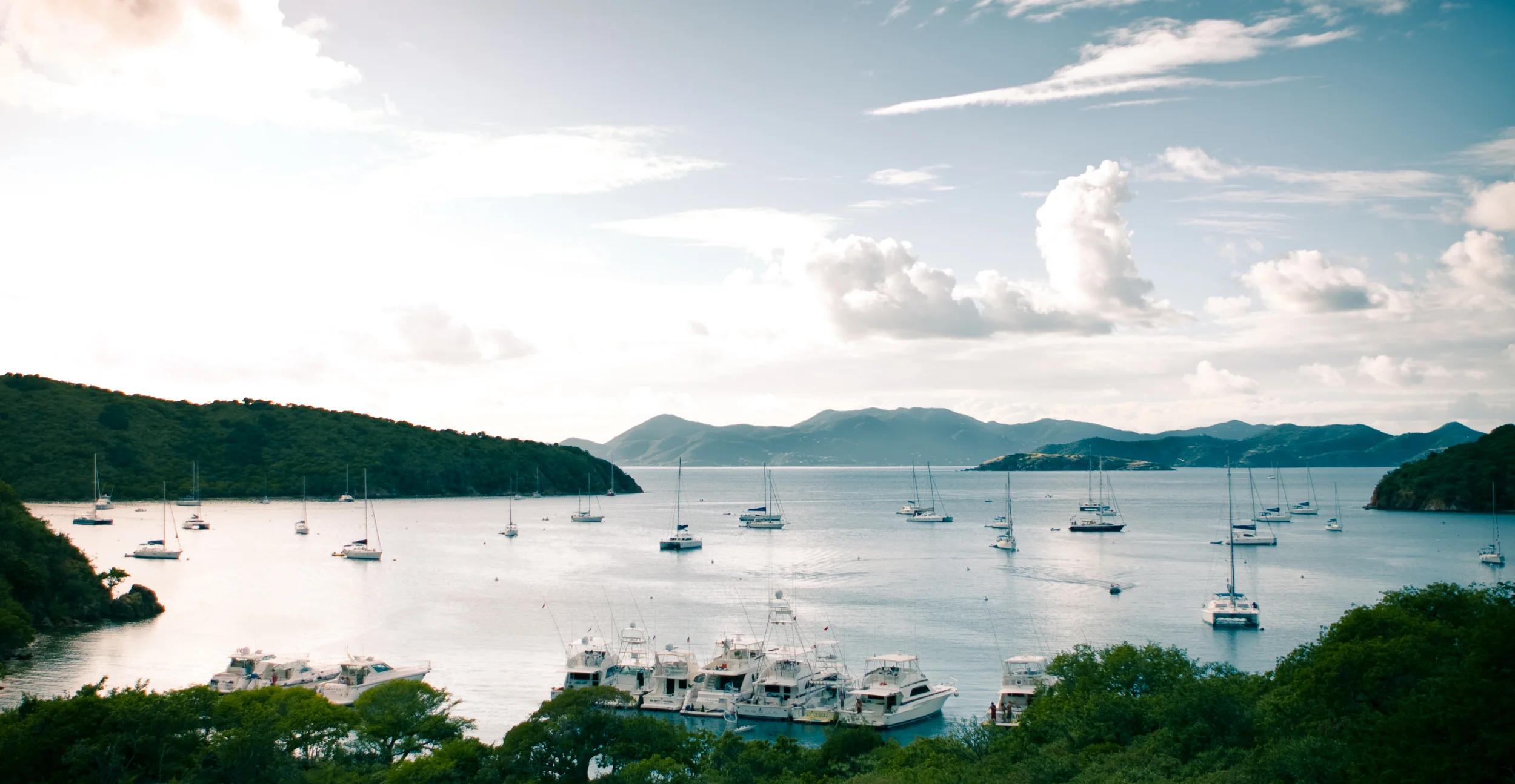 BVI-01.jpg
