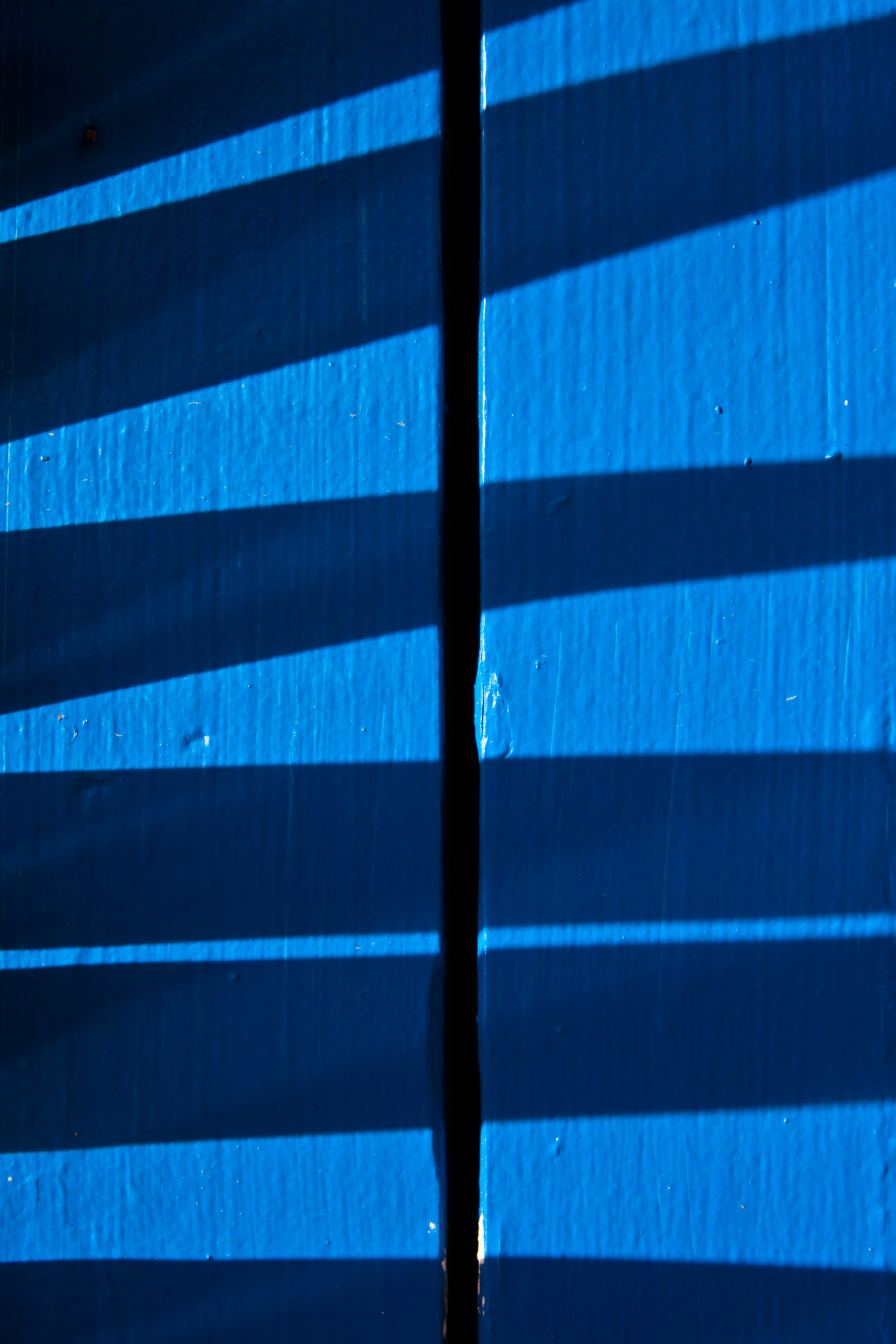 Shadow detail of a palm branch against a blue post.