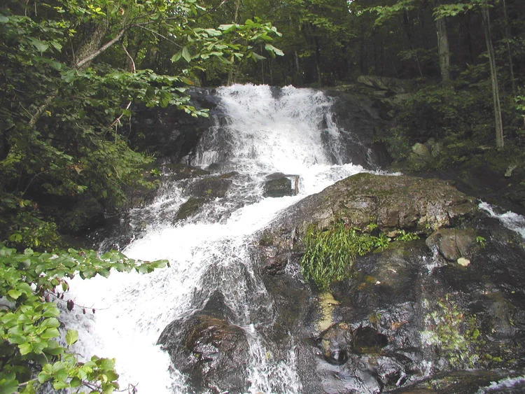 More on the waterfall at The Nature Foundation at Wintergreen website