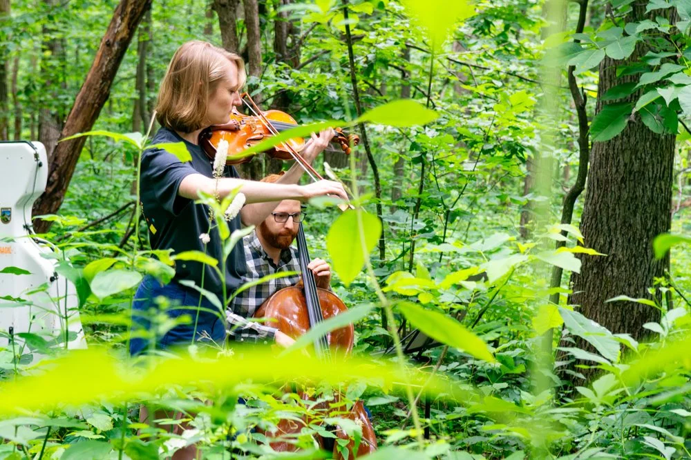 Music Hike 2-23 (1).jpg