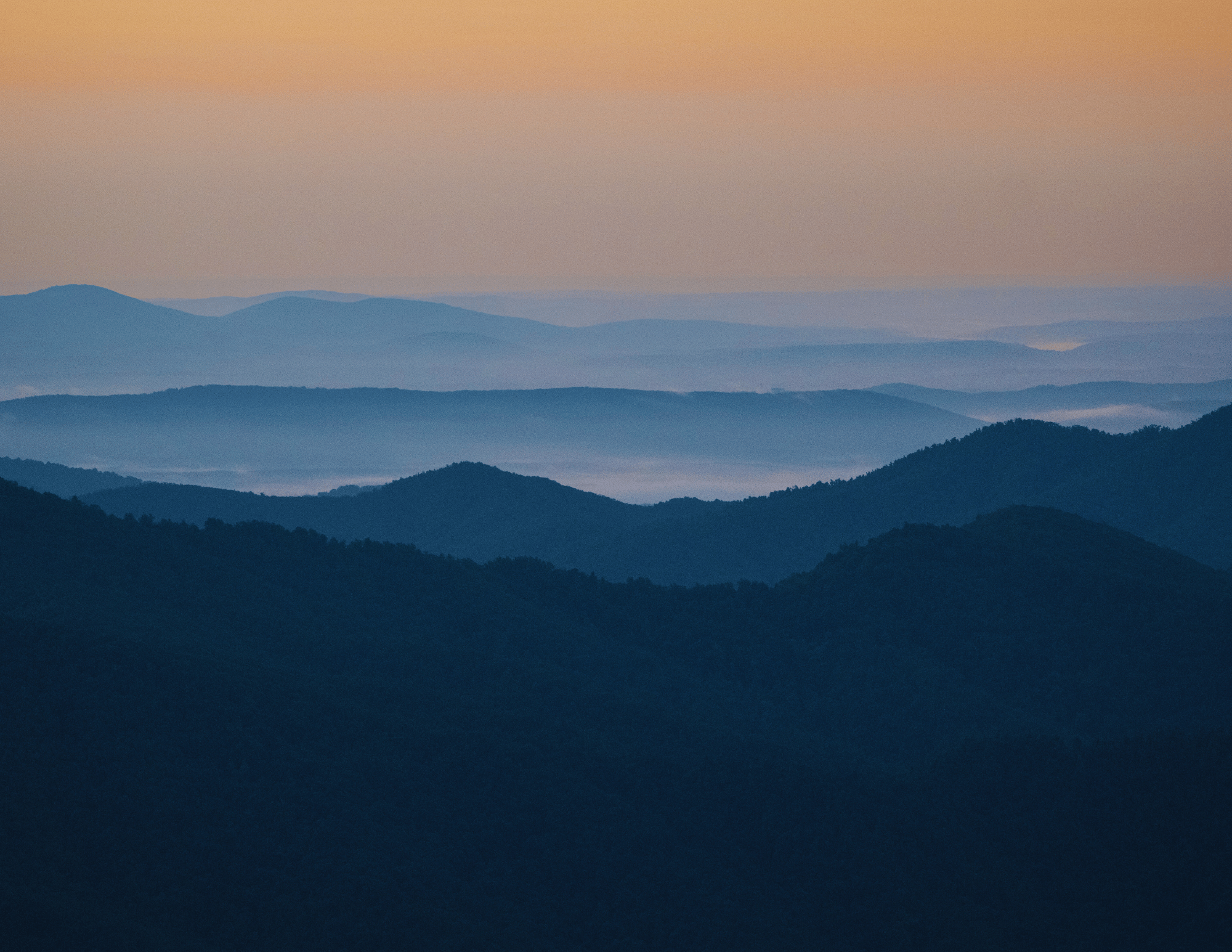   Our Path Forward: Announcing the 2026-2029 Strategic Plan    Read More  