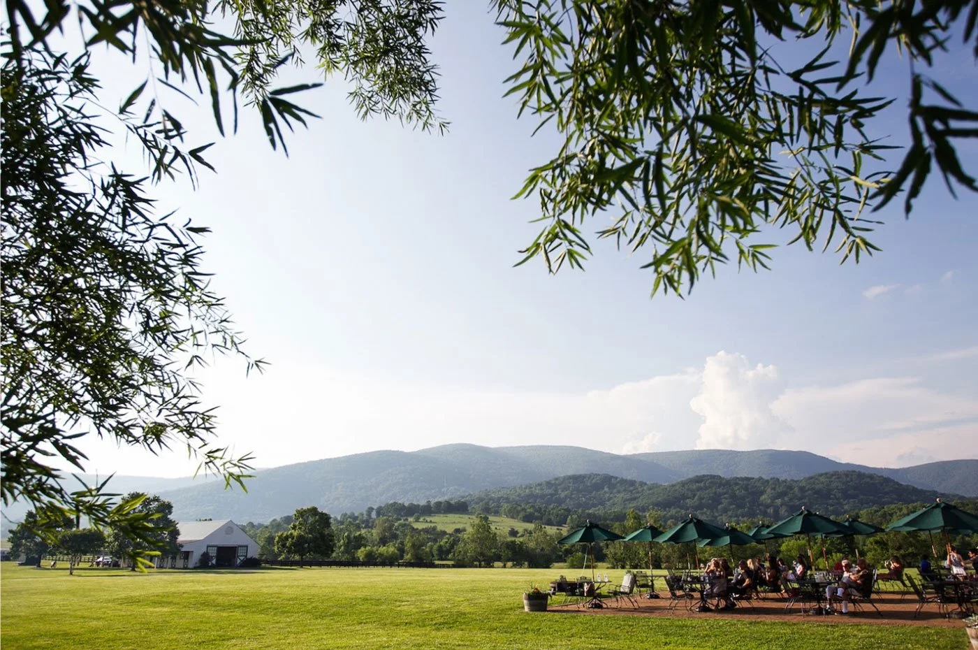 King Family Vineyards