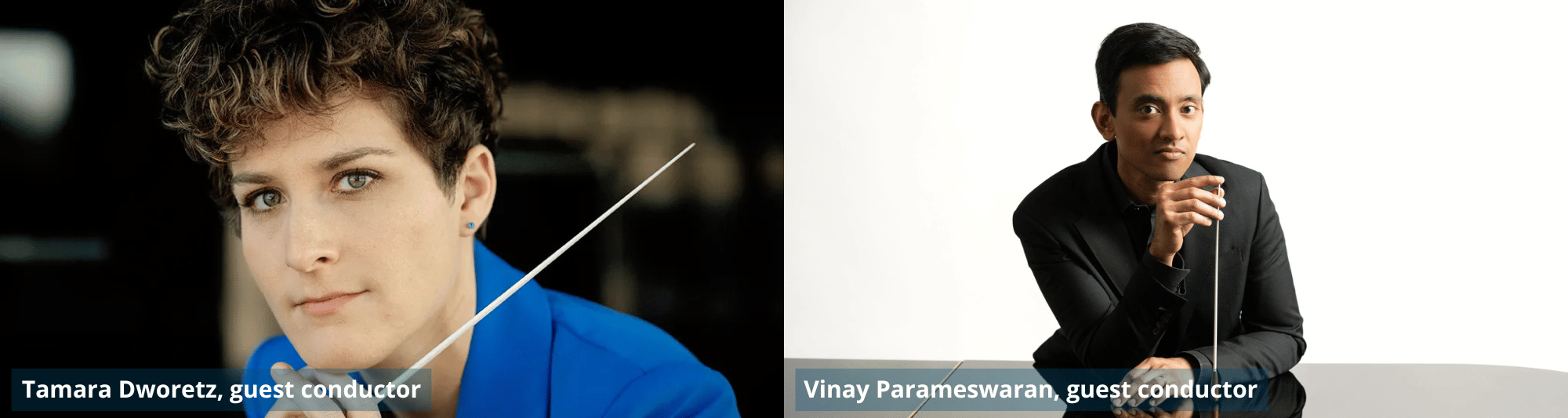 Tamara Dwortez and Vinay Parameswaran