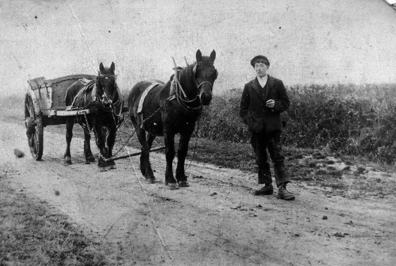 Len Woolaton, aged 17, bringing magels to feed a flock of sheep on Barlings Lane- Now Ruth King's farm. Date of photograph circa 1913.