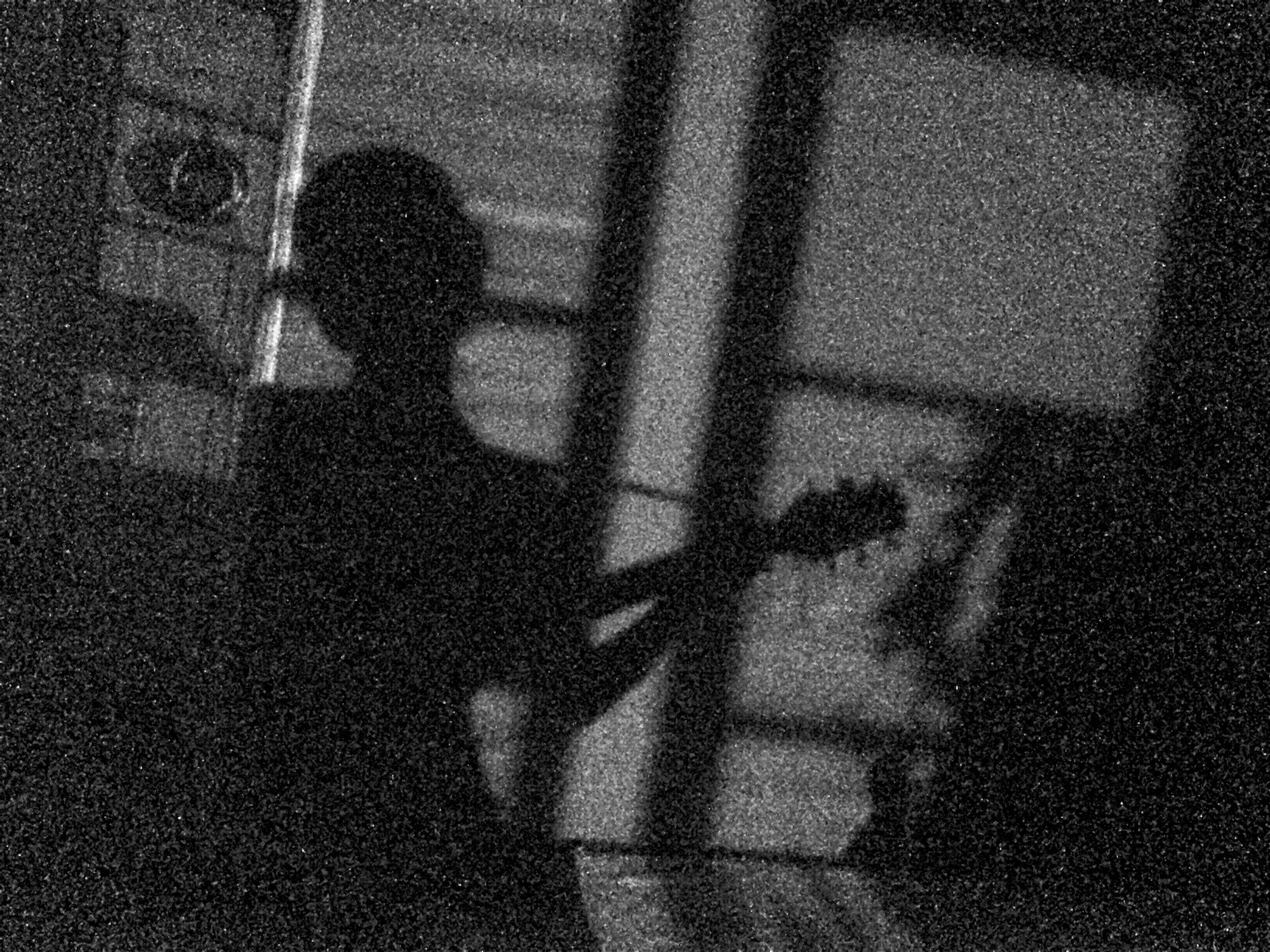 TajnaTanovic_Guitar_Shadow.jpg