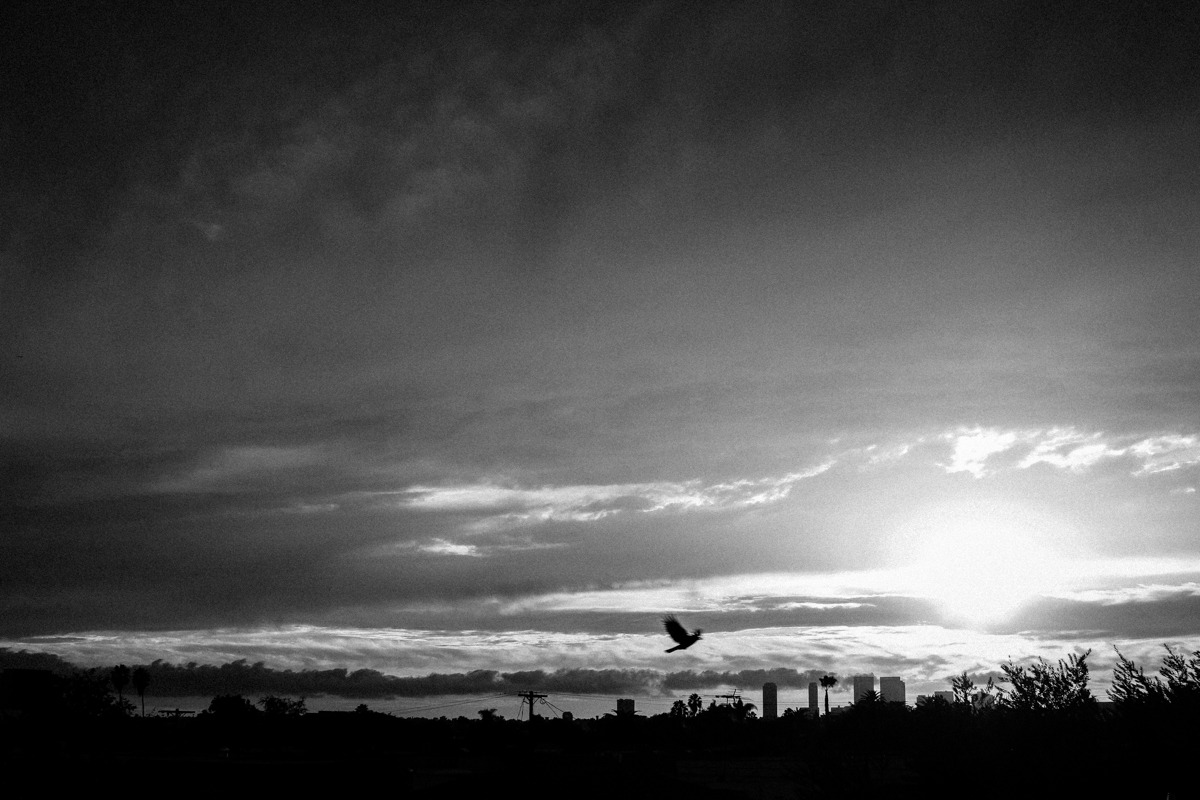Catch the bird, it’s already flown.
You have no wings, yours are hands
Turned to crumpled paper thrown
Away that once was glass touching the lands
Called “His face.”
© 2014 Tajna Tanović. All Rights Reserved.
