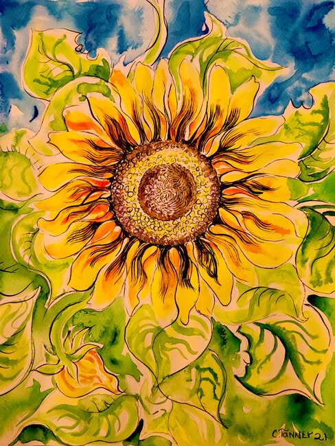 Sunflower-For-Sally.jpg