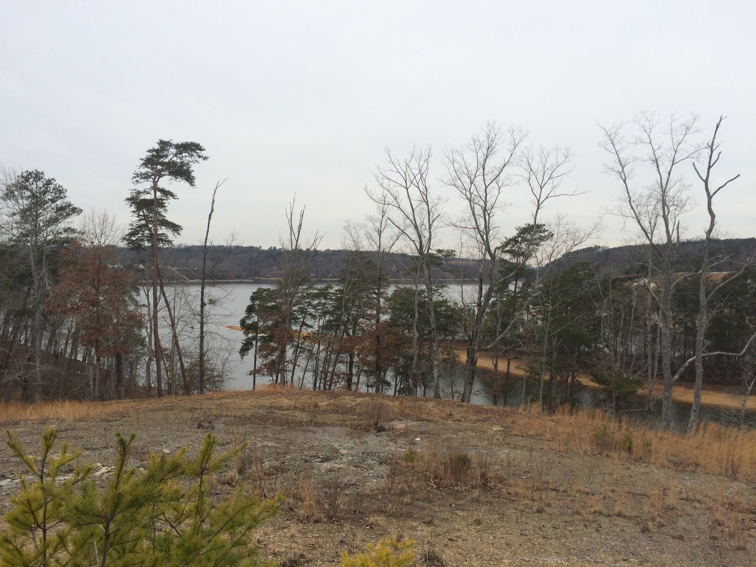 2015-02-04 15.30.35.jpg