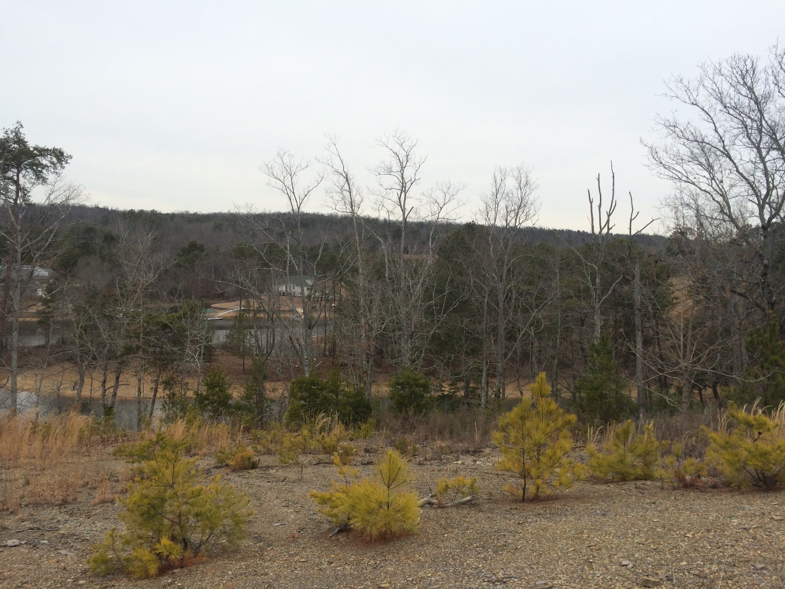 2015-02-04 15.30.28.jpg