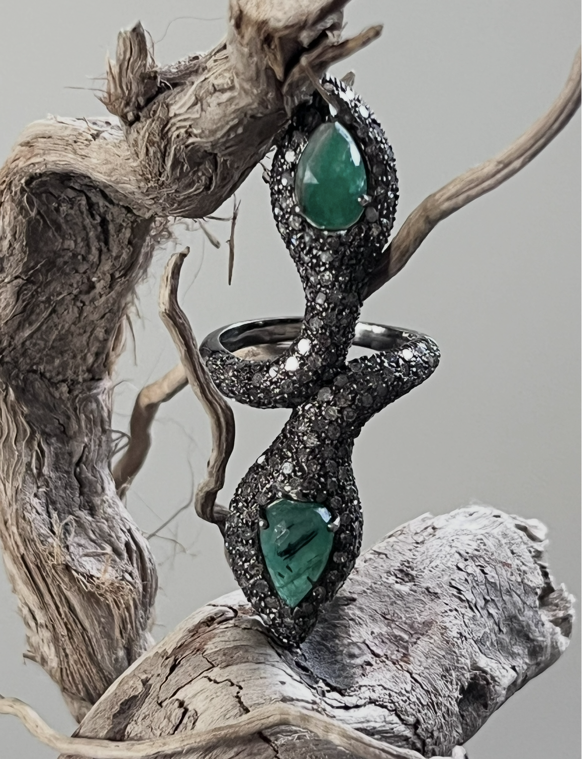 View recent photos 5.png