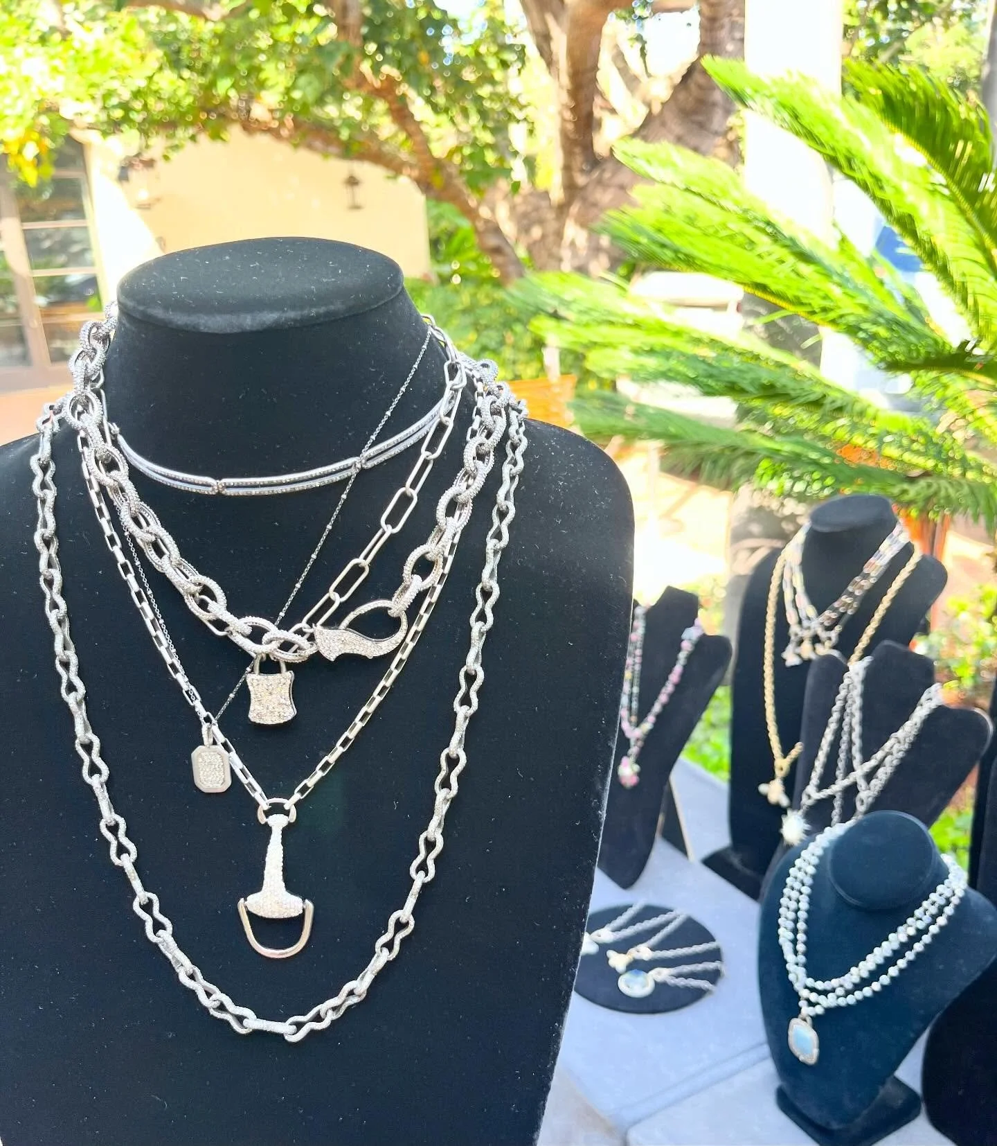 A fabulous show today ☀️@terranearesort