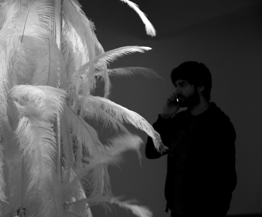 featherTales_UP_XS.jpg