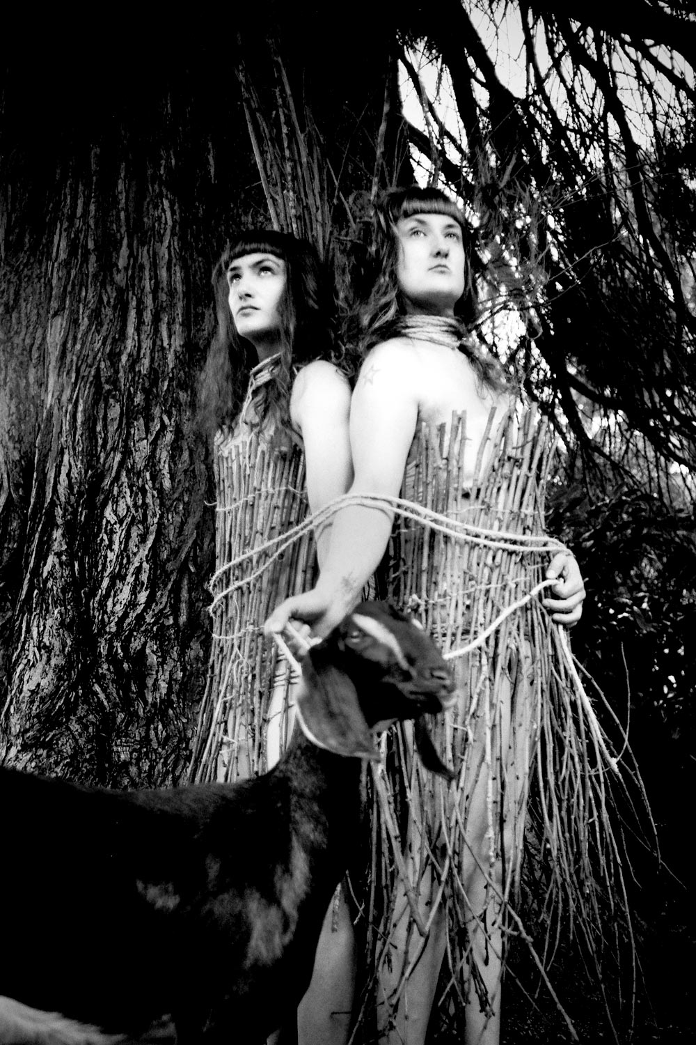 Two of Wands with Jill Marissa