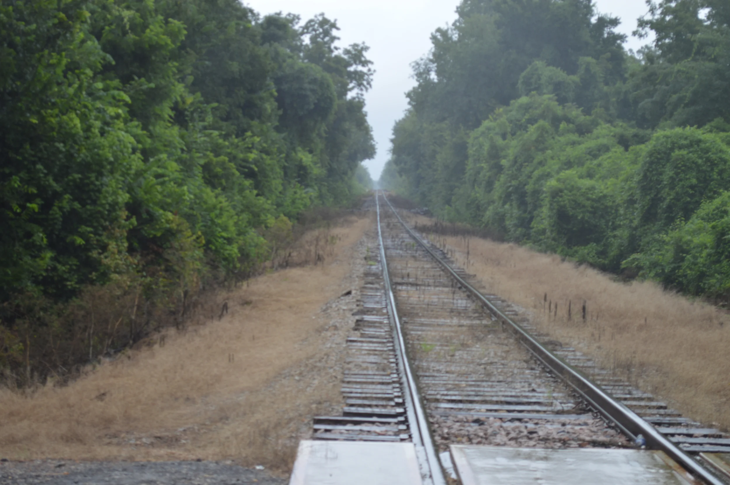 DSC_0034.JPG