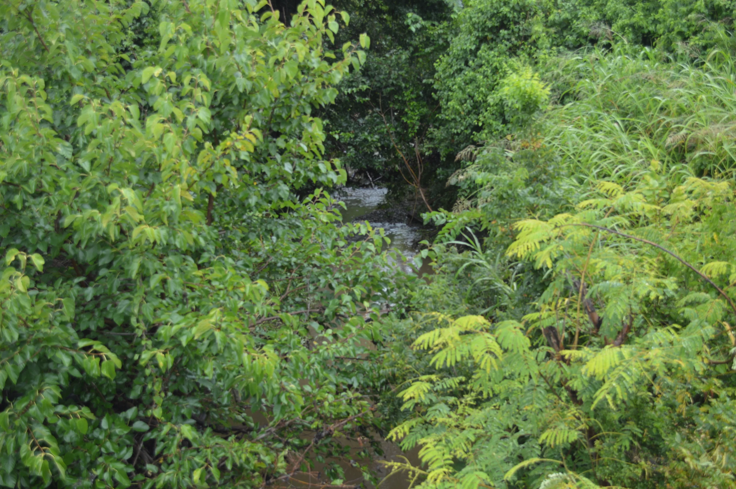 DSC_0042.JPG