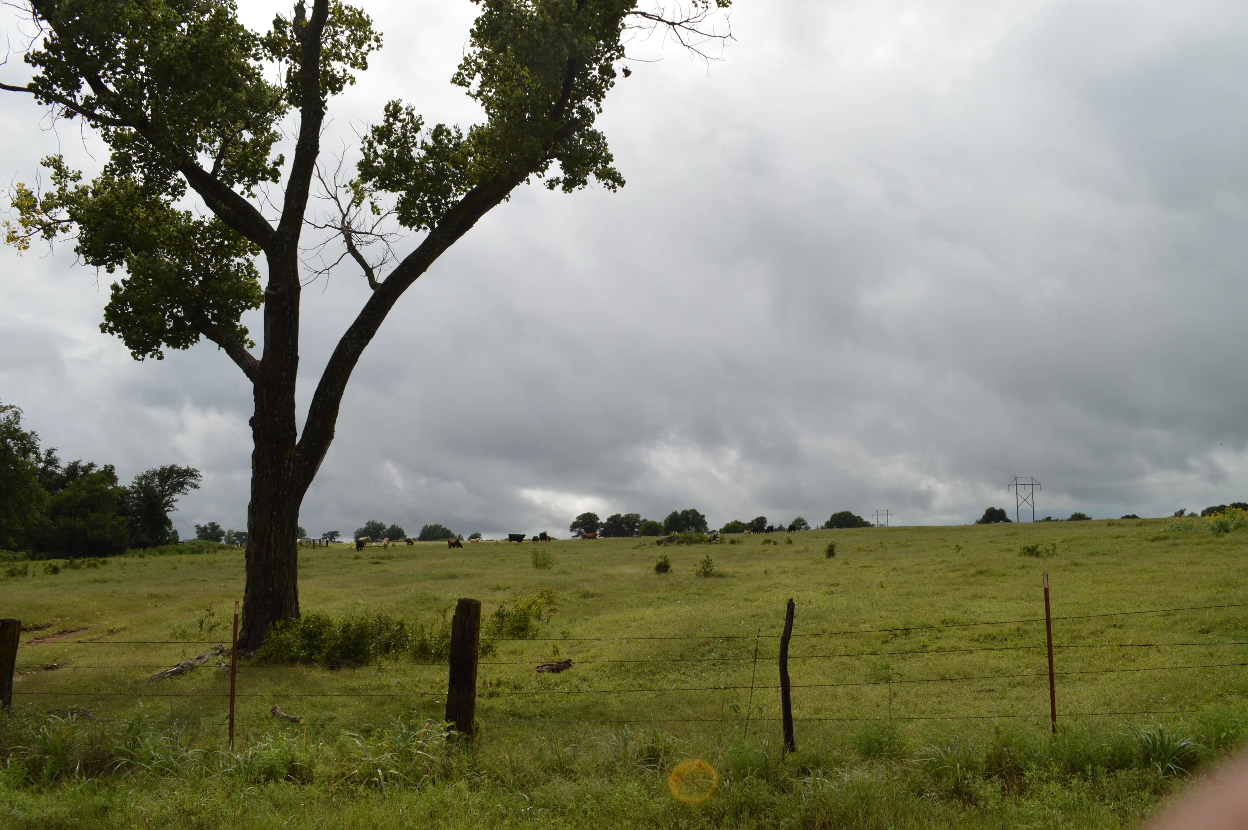 DSC_0082.JPG