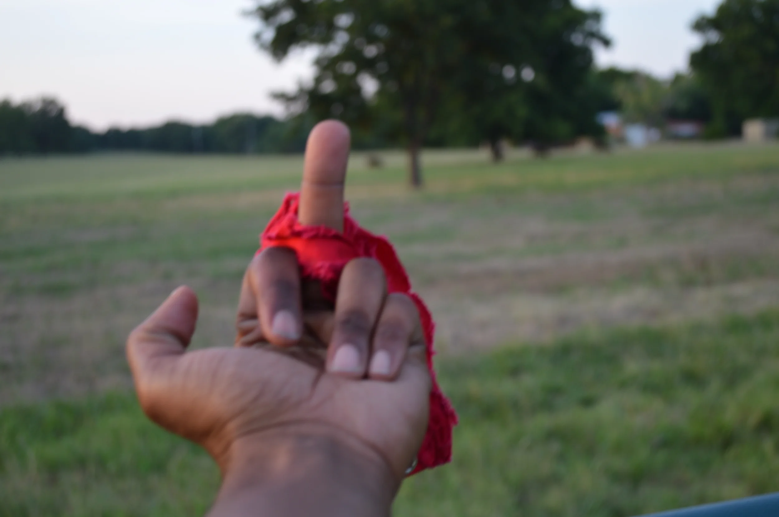 DSC_0176.JPG