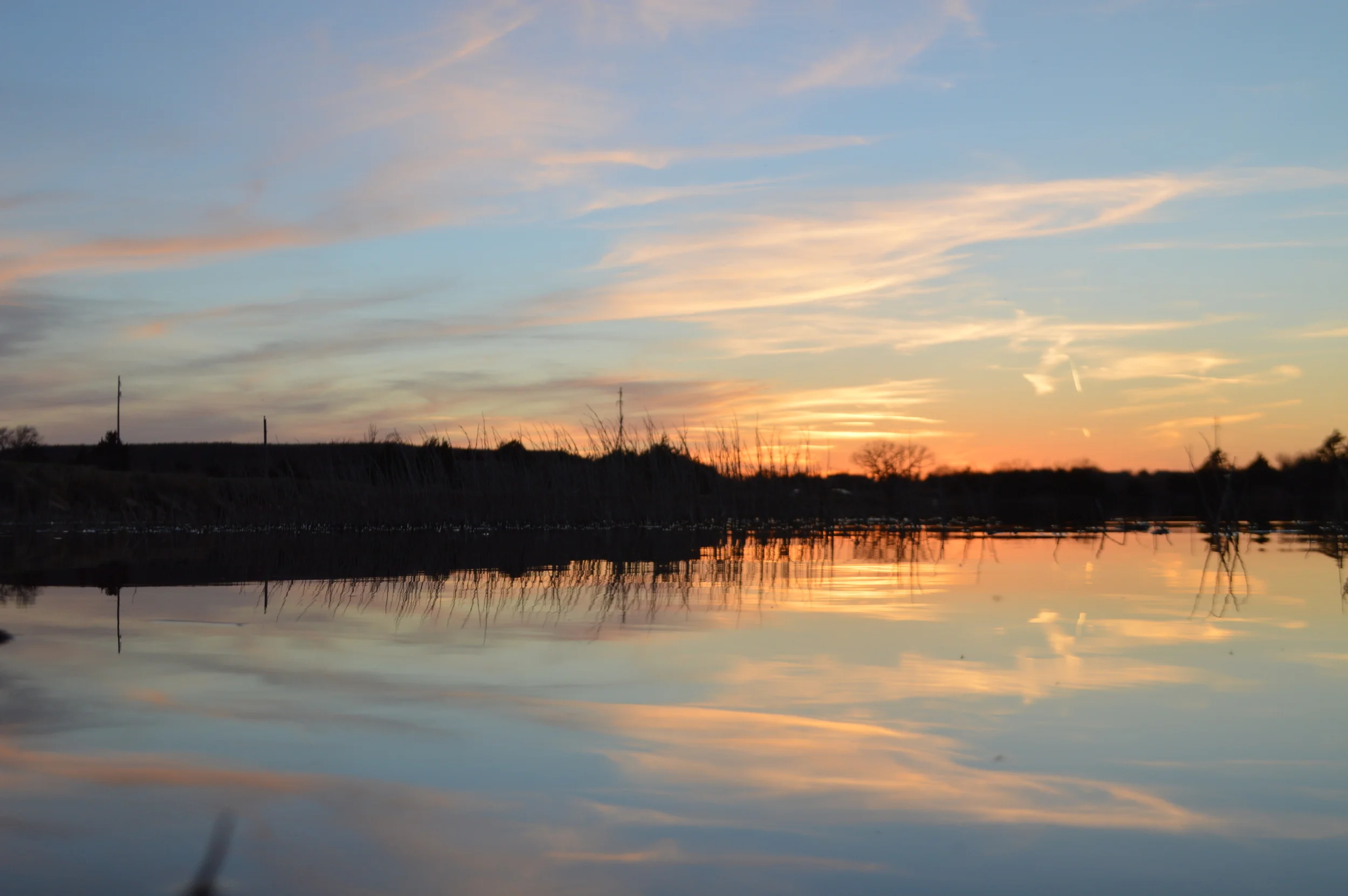 DSC_0037.JPG