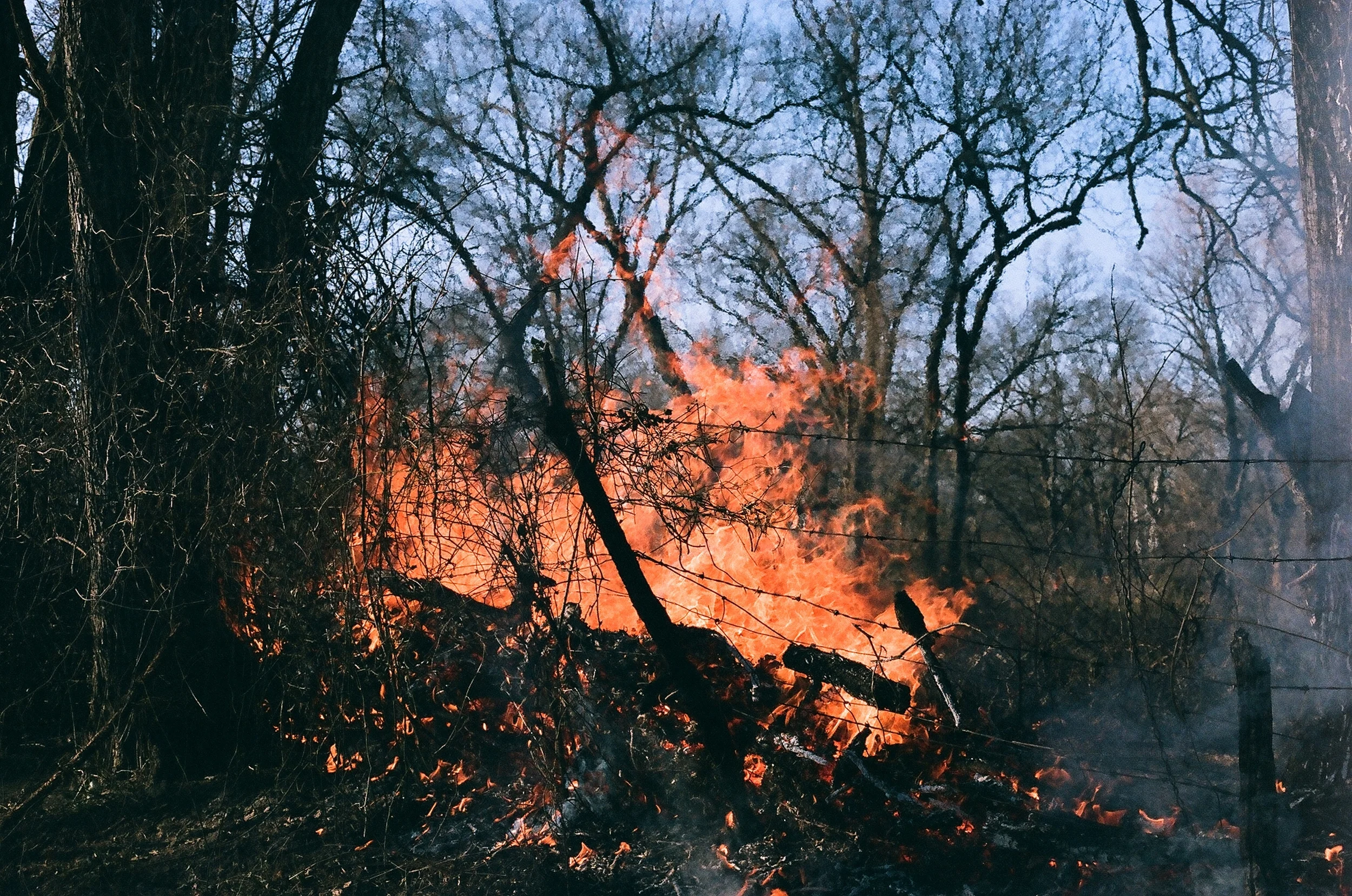 35mm in the country... flame on 